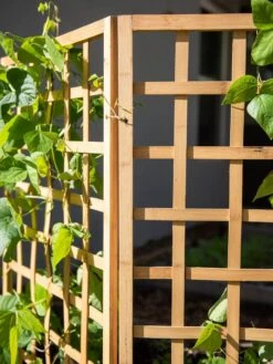 Bamboo Zig-Zag Trellis 24" X 36" -Best Garden Care Shop 8613151 6491