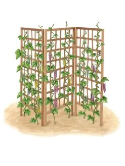 Bamboo Zig-Zag Trellis 24" X 36" -Best Garden Care Shop 8613151 art flat