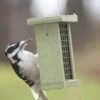 Birds Choice™ Suet Feeder -Best Garden Care Shop 8613219 04v birds choice suet feeder