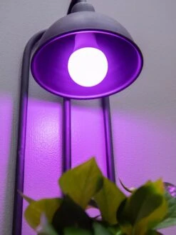 Kira Grow Light Hanging Planter -Best Garden Care Shop 8613232 5663