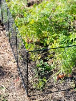 Chicken Wire Critter Fence, 16" High -Best Garden Care Shop 8613249 0309