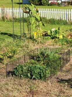 Chicken Wire Critter Fence, 16" High -Best Garden Care Shop 8613249 0329