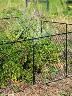 Chicken Wire Critter Fence, 16" High -Best Garden Care Shop 8613249 0352