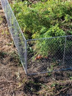 Chicken Wire Critter Fence, 16" High -Best Garden Care Shop 8613249 0358