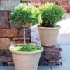 Self-Watering LavaStone® Anson Pot 2 Self-Watering LavaStone® Anson Pot -Best Garden Care Shop 8613256 0124 self watering lavastone anson pot