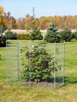 Tall Chicken Wire Critter Fence Extension Panel, Set Of 2 19 Tall Chicken Wire Critter Fence Extension Panel, Set Of 2 -Best Garden Care Shop 8613260 0030