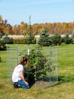 Tall Chicken Wire Critter Fence Extension Panel, Set Of 2 21 Tall Chicken Wire Critter Fence Extension Panel, Set Of 2 -Best Garden Care Shop 8613260 0044