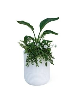 Arden Round Planter 17 Arden Round Planter -Best Garden Care Shop 8613267 0115