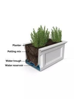 Fairfield Self-Watering Elevated Garden Bed 17 Fairfield Self-Watering Elevated Garden Bed -Best Garden Care Shop 8613283 07V 3 4