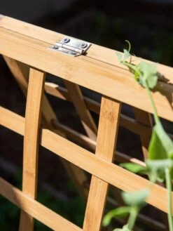 Bambo A Frame Plant Support, 30" X 42.5" 15 Bambo A Frame Plant Support, 30" X 42.5" -Best Garden Care Shop 8613310 6525