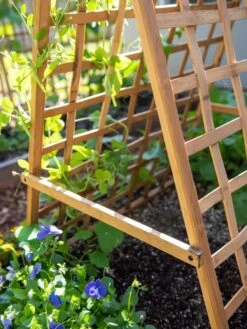 Bambo A Frame Plant Support, 30" X 42.5" 13 Bambo A Frame Plant Support, 30" X 42.5" -Best Garden Care Shop 8613310 6556