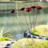 Red Poppy Sways, Set Of 5 1 Red Poppy Sways, Set Of 5 -Best Garden Care Shop 8613343 2 red poppy sways set of 5