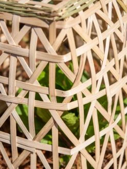 Bamboo Cloche, Set Of 2 -Best Garden Care Shop 8613351 0153