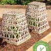 Bamboo Cloche, Set Of 2 -Best Garden Care Shop 8613351 12