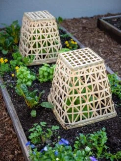 Bamboo Cloche, Set Of 2 -Best Garden Care Shop 8613351 6766