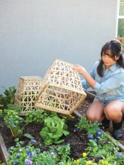 Bamboo Cloche, Set Of 2 -Best Garden Care Shop 8613351 6862