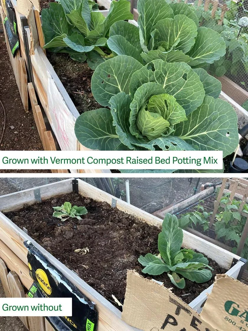 Organic Raised Bed Potting Mix, 20 Quart 4 Organic Raised Bed Potting Mix, 20 Quart - Image 2