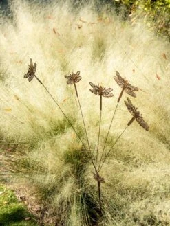 Flutterer Garden Stake -Best Garden Care Shop 8613372 0162