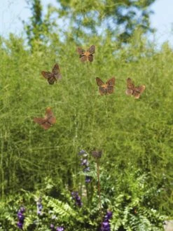 Flutterer Garden Stake -Best Garden Care Shop 8613372 01V tif