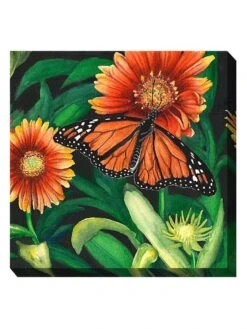 Monarch Outdoor Wall Art -Best Garden Care Shop 8613939 01V 3 4