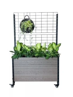 Mobile Deep Trough Planter With Trellis -Best Garden Care Shop 8614265 03V