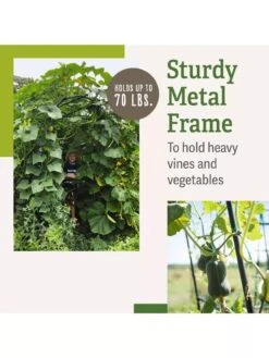 Titan Squash Tunnel -Best Garden Care Shop B07932DMCR plantsupport benefits 2