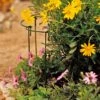 Curved Linking Stakes -Best Garden Care Shop GS35240 02 tif