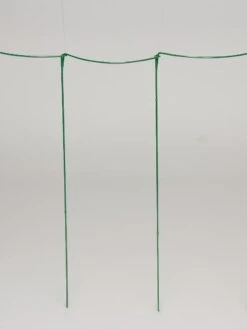 Curved Linking Stakes 10 Curved Linking Stakes -Best Garden Care Shop GS35241 04S tif