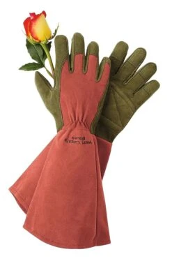 Rose Gloves 7 Rose Gloves -Best Garden Care Shop GS36874 01Z tif