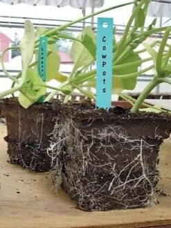 2-3/4" Square Cowpots 6-Packs, Set Of 4 -Best Garden Care Shop GS37034 05