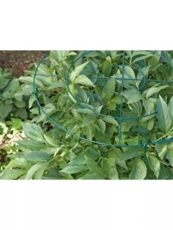 Grow Through Supports, Set Of 3 9 Grow Through Supports, Set Of 3 -Best Garden Care Shop GS40172 01 1