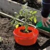 Tomato Halos, Set Of 3 2 Tomato Halos, Set Of 3 -Best Garden Care Shop GS40357 01 tif
