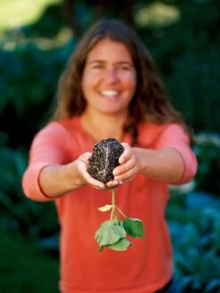 Deep Root Seedstarting System, Black 7 Deep Root Seedstarting System, Black -Best Garden Care Shop GSCOVSPR06D2 01