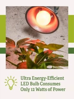 Miracle LED® Absolute Daylight™ Max Flowering Grow Light Bulb -Best Garden Care Shop Miracle Daylight Bulb 2