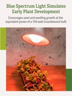 Miracle LED® Absolute Daylight™ Max Flowering Grow Light Bulb -Best Garden Care Shop Miracle Daylight Bulb 4