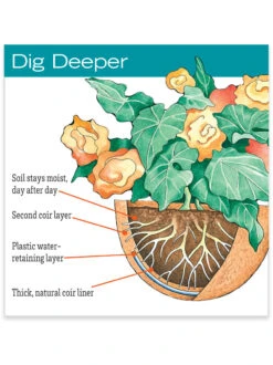 AquaSav™ Replacement Liners, Set Of 3 -Best Garden Care Shop hiw 38 583