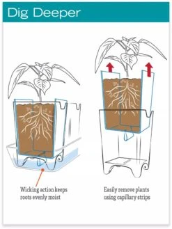 Stoneware Self-Watering Windowsill Planters, Set Of 2 -Best Garden Care Shop hiw 8593943 jpg