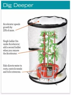 Tomato TLC Kits, Set Of 3 -Best Garden Care Shop hiw 8594214 jpg