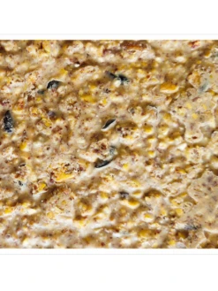 Peanut Apple Suet, 11.75 OZ, 12 Pack 9 Peanut Apple Suet, 11.75 OZ, 12 Pack -Best Garden Care Shop webimage 8613690 04V